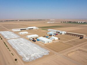 فرص العمل في حائل بشركة المراعي